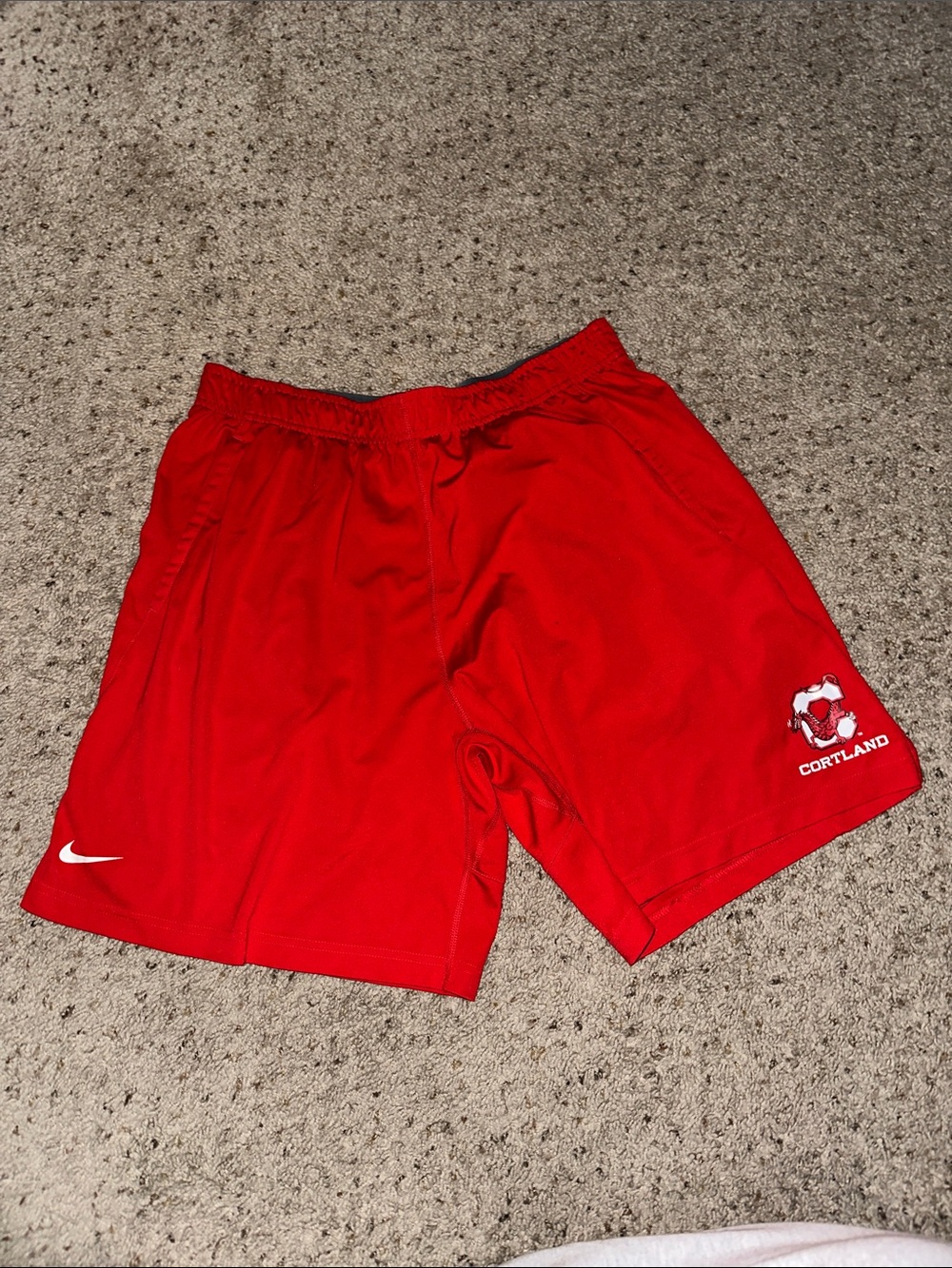 SUNY Cortland Nike Shorts